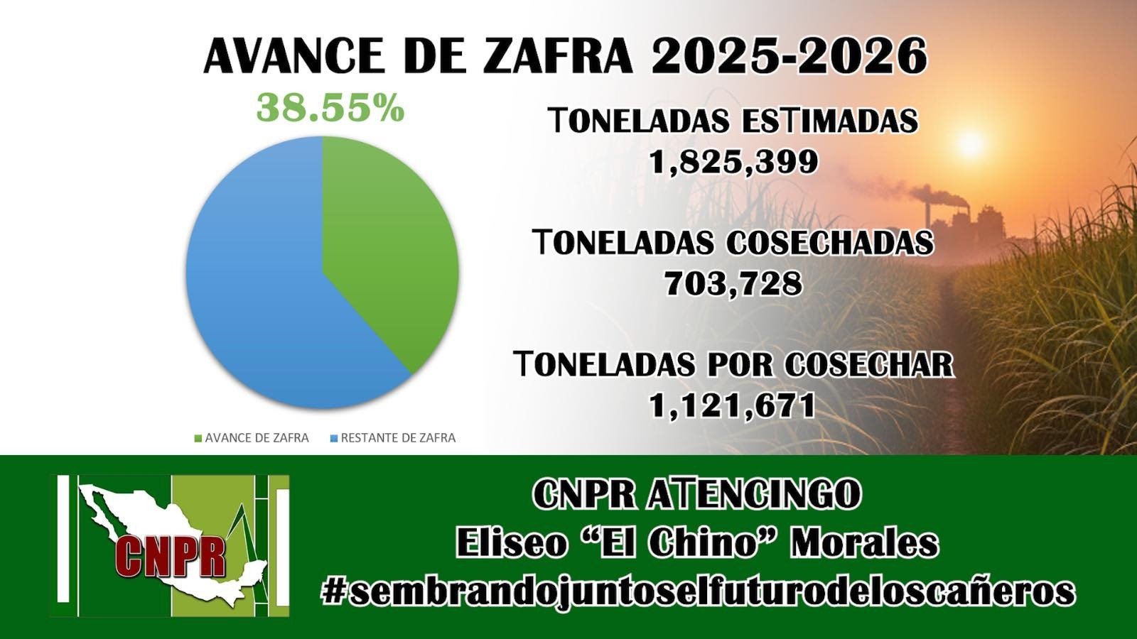 La zafra 2025–2026 presenta casi el 40% de avance: CNPR