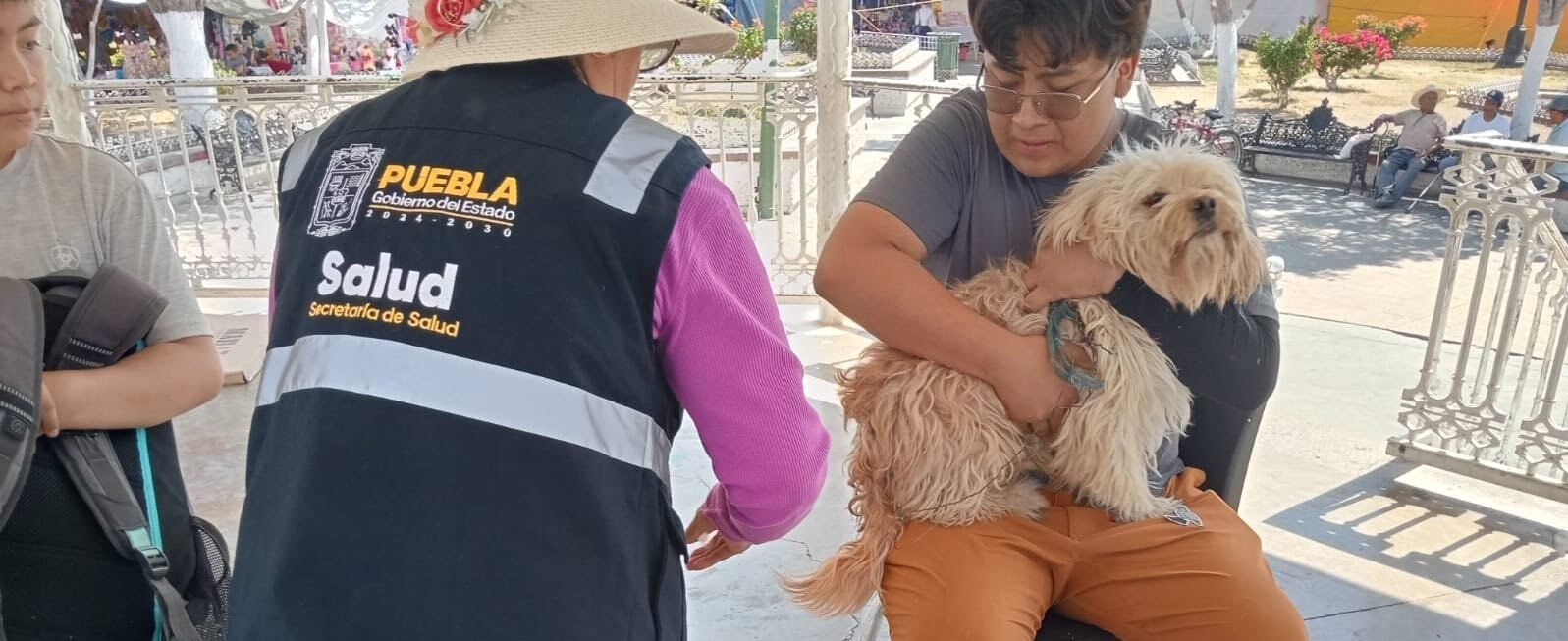 Protección y bienestar animal