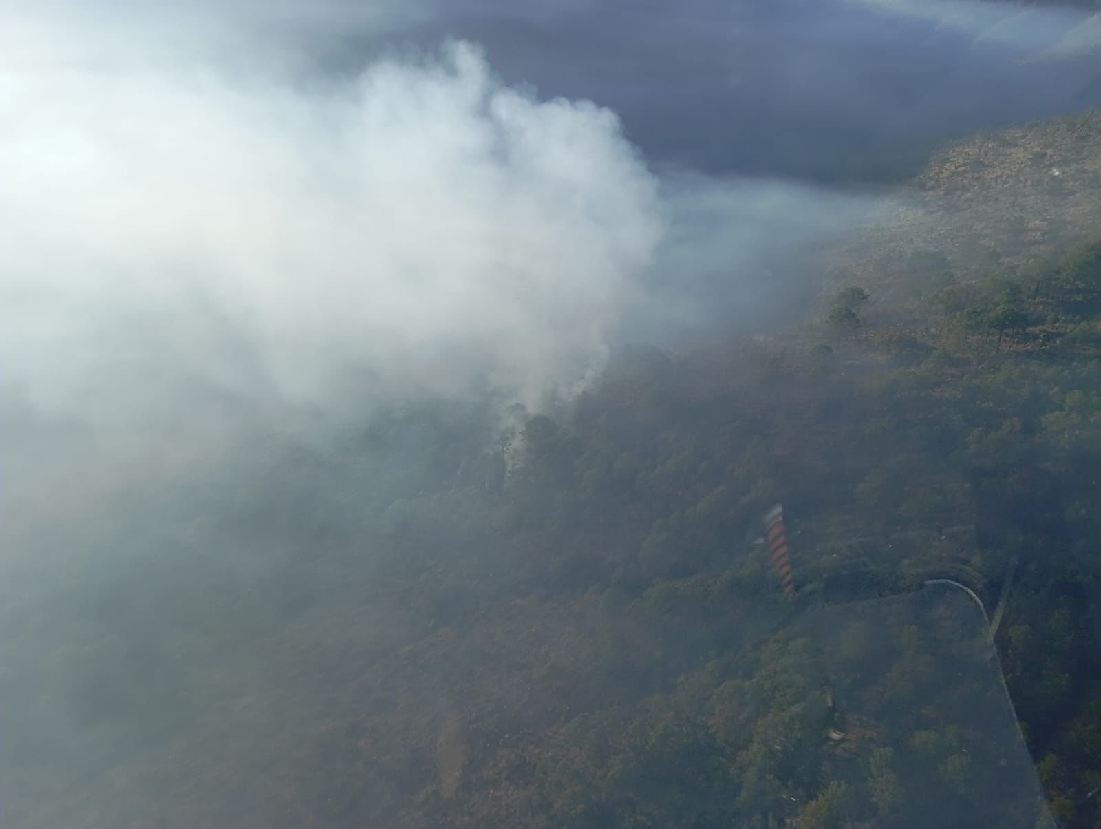 INCENDIO FORESTAL EN ORIENTAL REGISTRA 90% DE CONTROL y 60% DE LIQUIDACIÓN