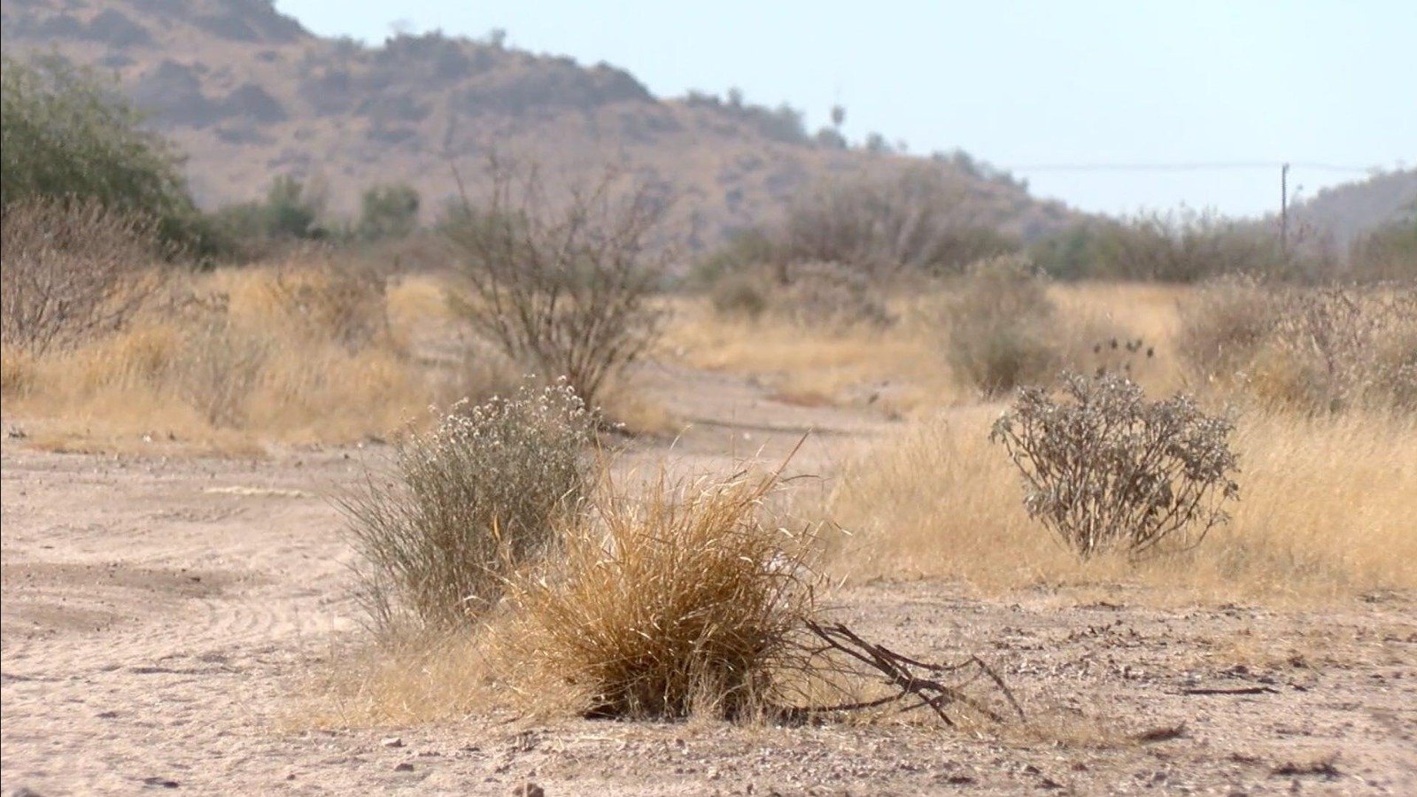 Sequía en la Mixteca: Conagua alerta sobre 17 municipios