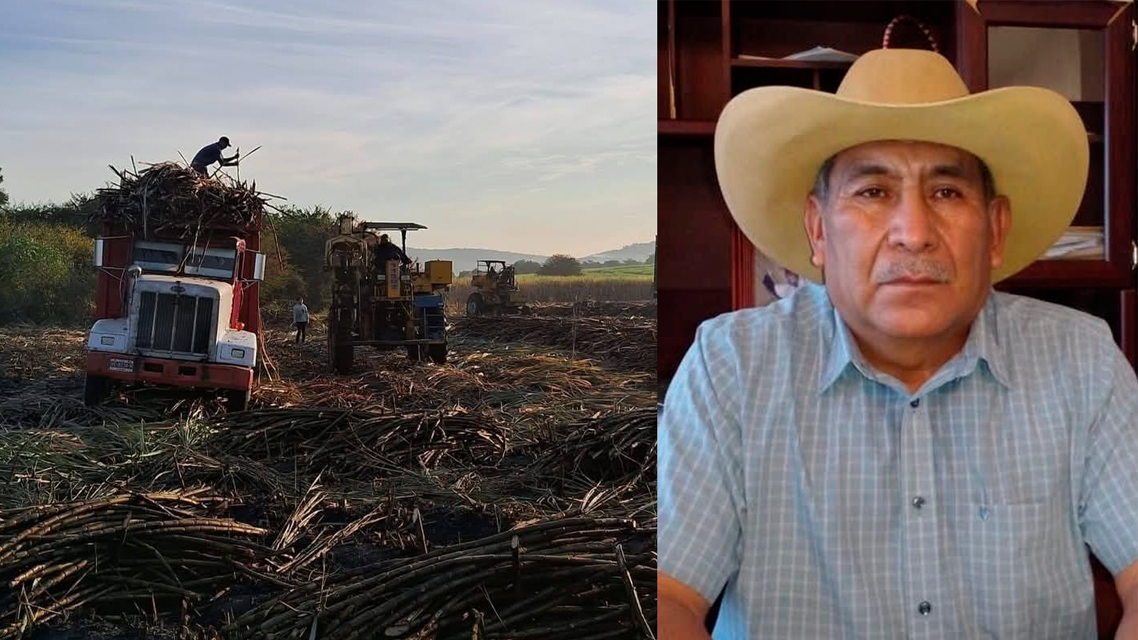 Zafra actual supera rendimiento del ciclo anterior: CNC