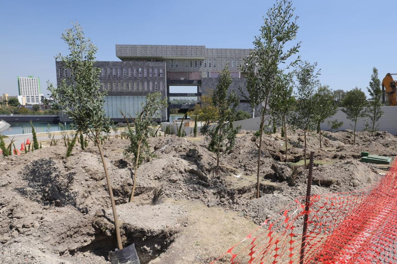 INICIA REFORESTACIÓN URBANA EN CIS Y PARQUE ECOLÓGICO; LA META SON 10 MIL ÁRBOLES