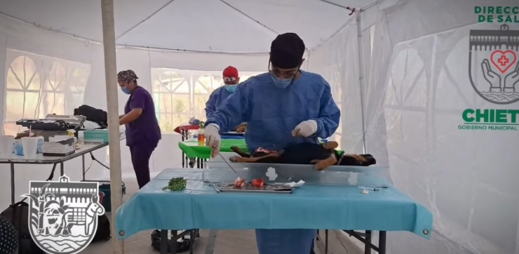 Realizan jornada de esterilización de mascotas en Pueblo Nuevo