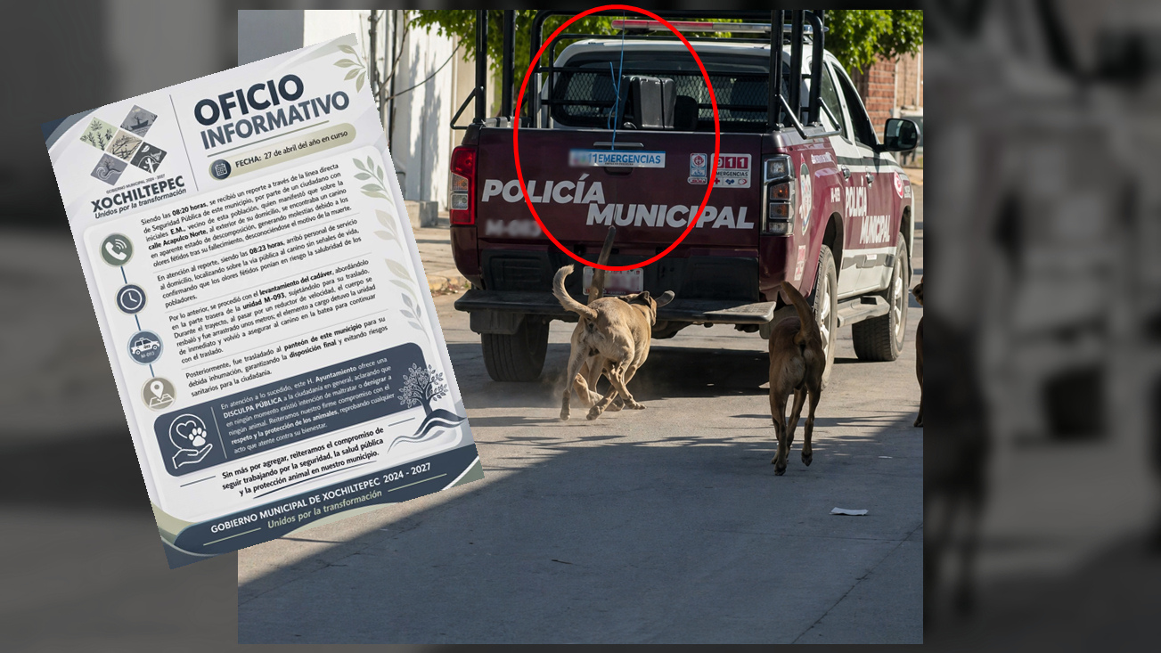 Dudan versión oficial por perro arrastrado en Xochiltepec