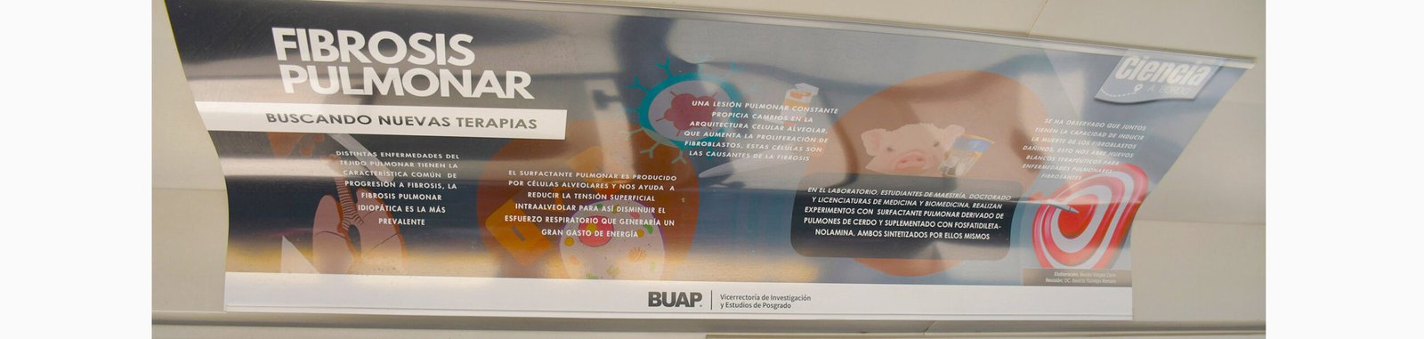 Convocan a alumnos BUAP a participar en el programa “Ciencia a bordo”