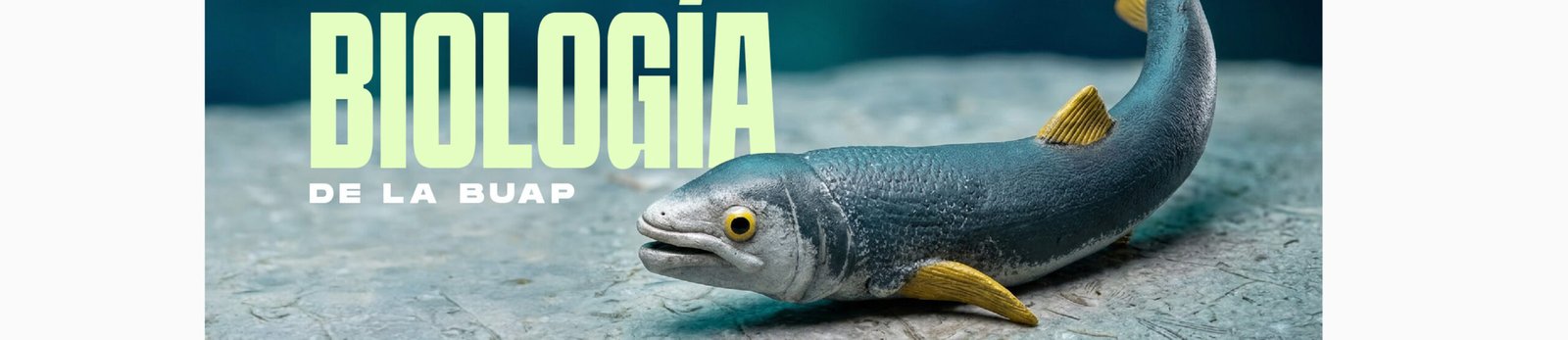 Laboratorio de Paleobiología de la BUAP, evidencia de vida del pasado para interpretar el presente y vislumbrar un futuro