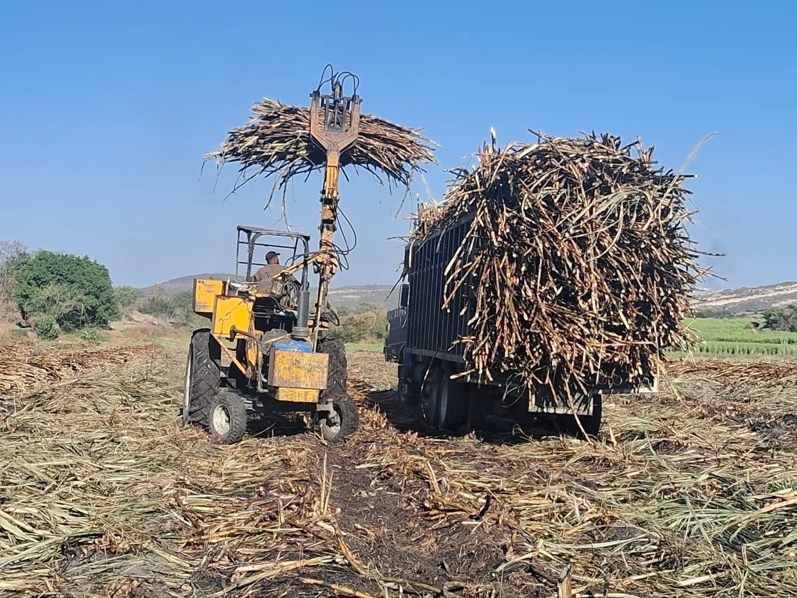 Avanza con fuerza la zafra en Atencingo; molienda supera el 78%: ULPCA