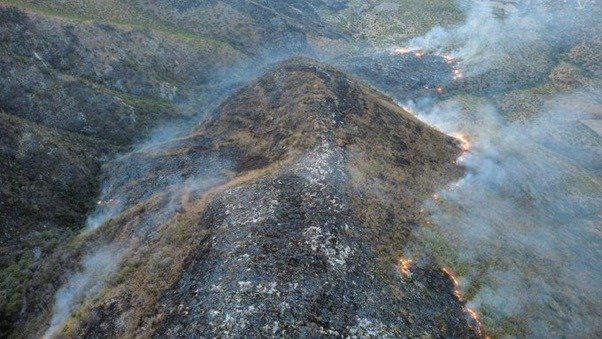 Liquidan incendio forestal en Tulcingo; 70 hectáreas afectadas