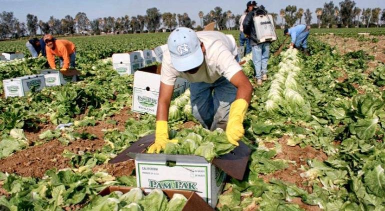 Ingresos de trabajadores mexicanos en EE. UU. equivalen al 59.2 % del PIB de México
