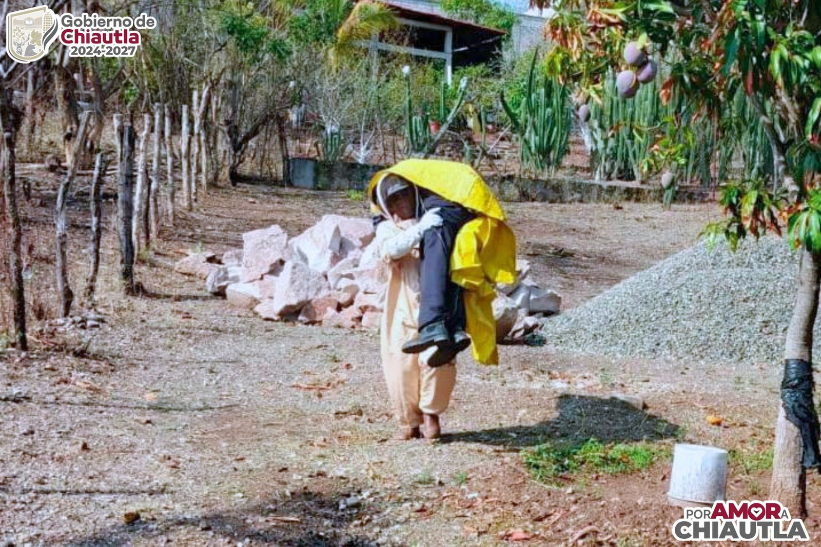 Adulto mayor fue salvado por Protección Civil de Chiautla tras ataque de abejas