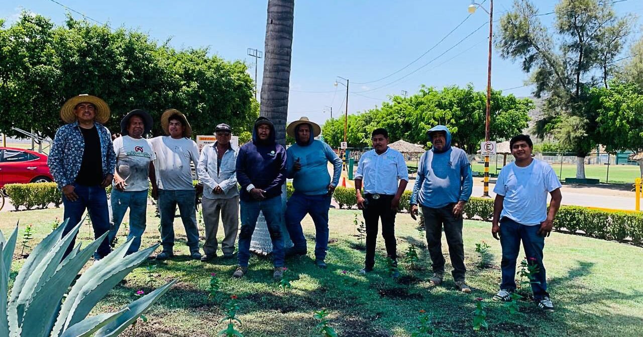 Reforestan acceso de la Unidad Deportiva «Mariano Matamoros» en Izúcar