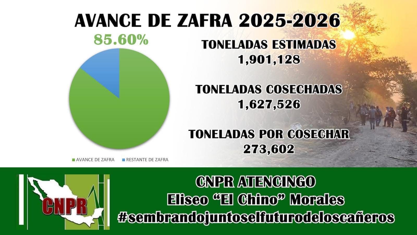 Avance de la zafra 25-26 registra un 85%: CNPR