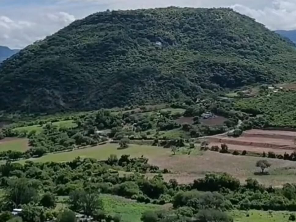 Implementarán acciones contra la cacería furtiva en Chila de las Flores