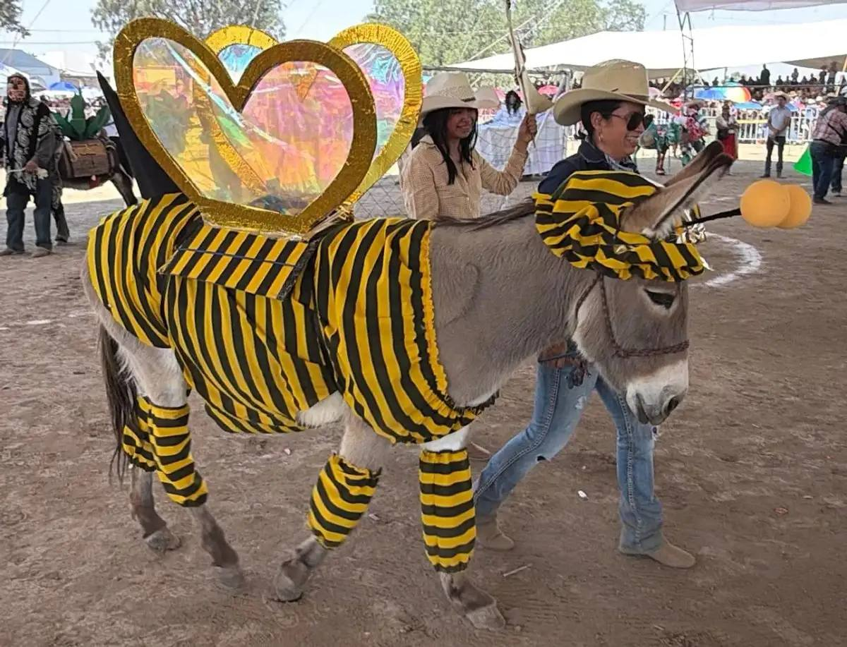 Miles asisten a Feria Nacional del Burro en Otumba