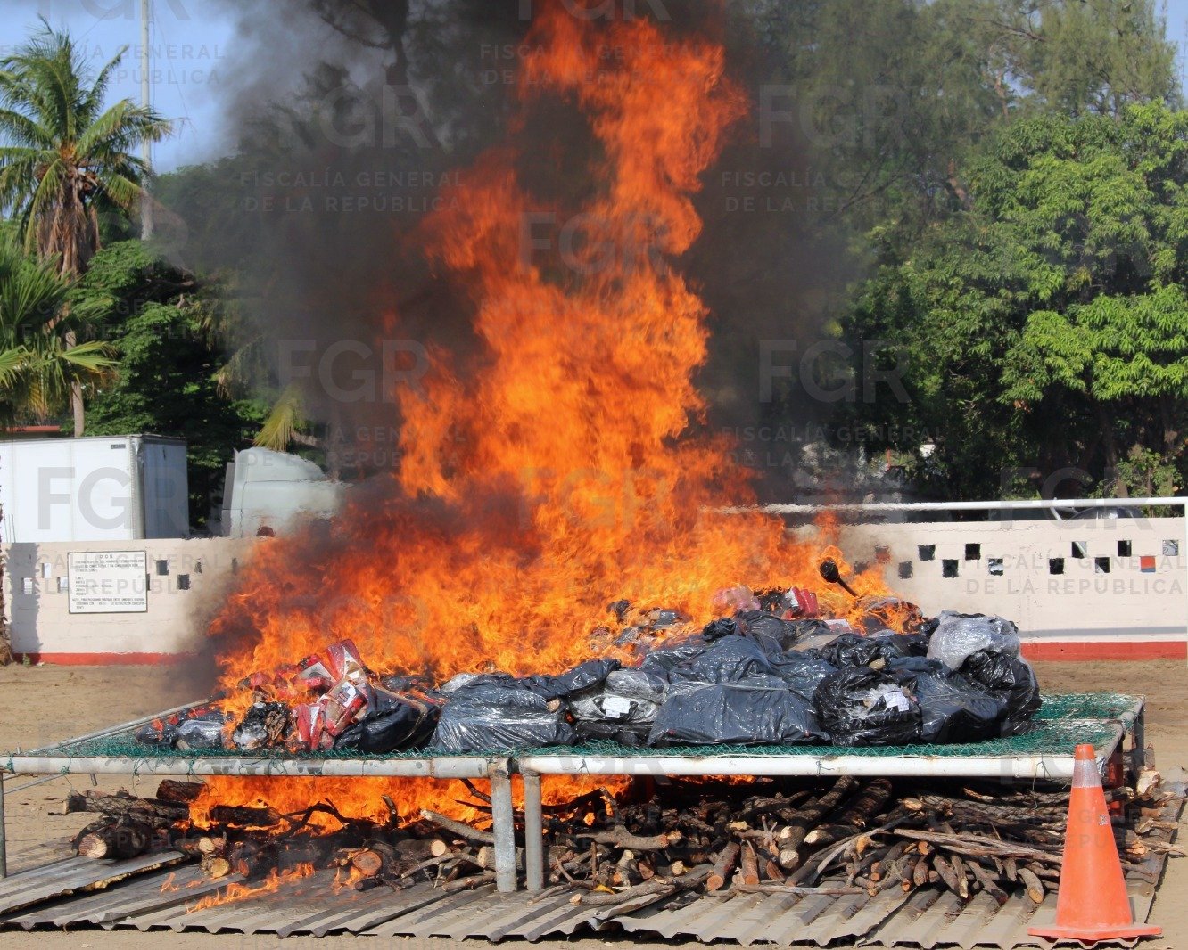 FGR destruye narcóticos en Hidalgo y Oaxaca
