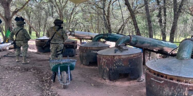 Ejército localiza presunto narcolaboratorio en Chila de la Sal