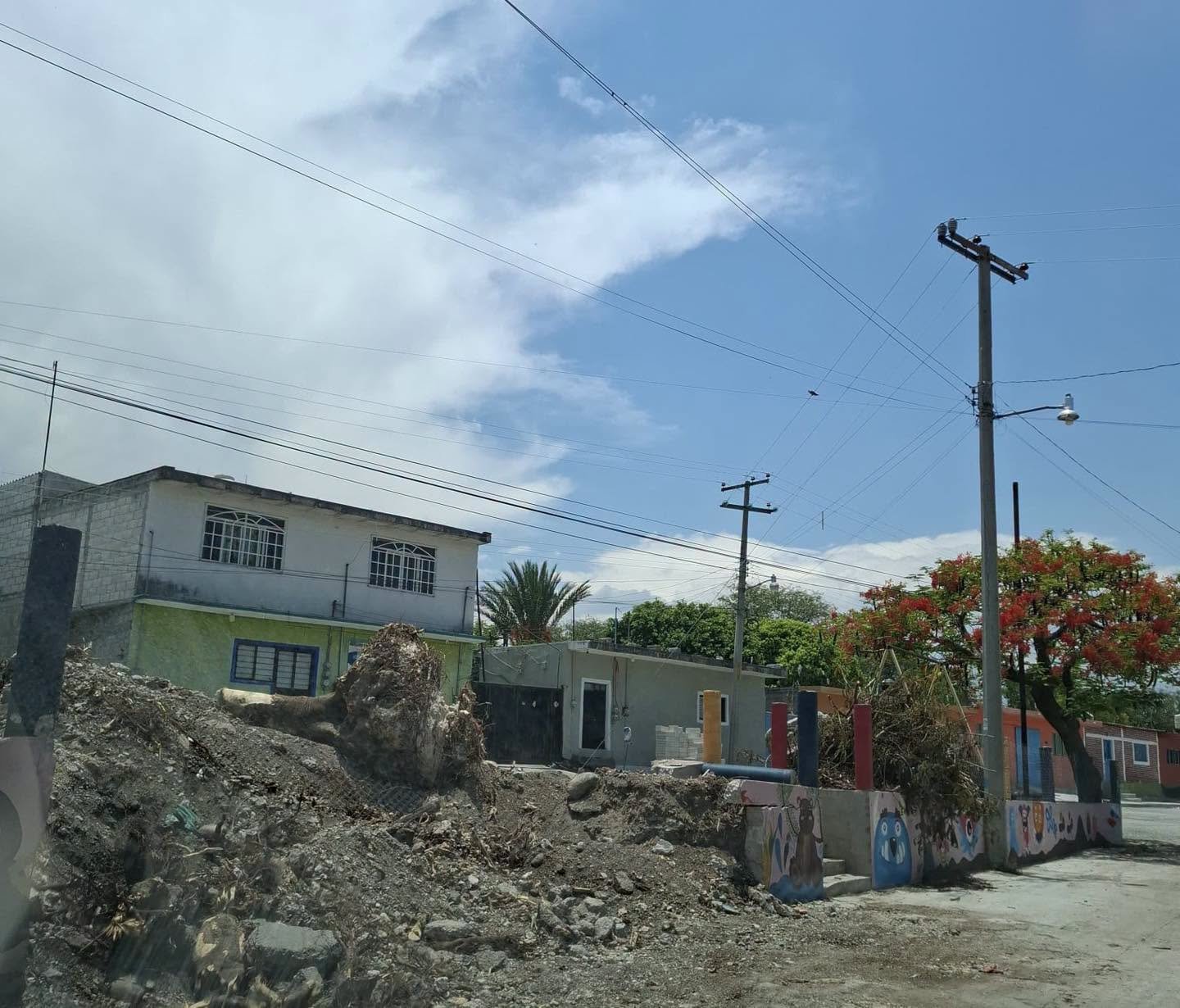 Vecinos cuestionan tala de árboles en parque de Tilapa