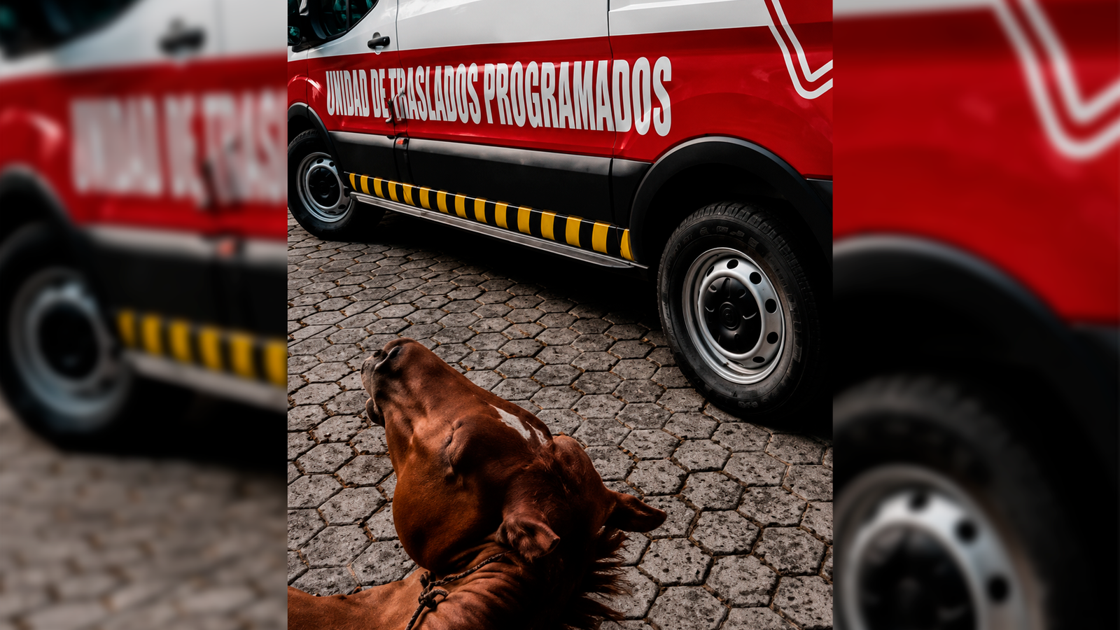 Jinete y caballo resultan lesionados por atropellamiento en Hueytamalco