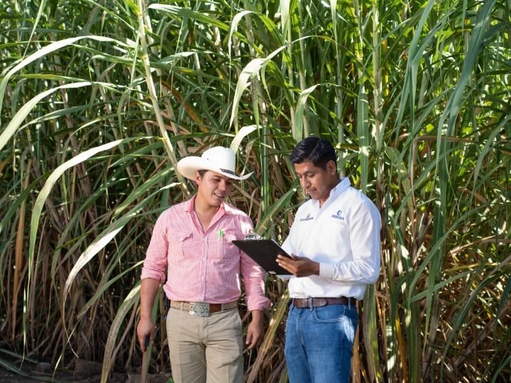 Mantener vigente el contrato, abre la puerta a grandes beneficios: Ingenio de Atencingo