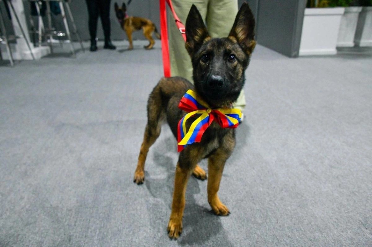 Venezuela dona cachorra a México por apoyo humanitario