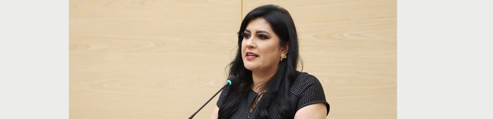 Propone diputada Delfina Pozos la creación del Sistema Estatal de Alertas Turísticas
