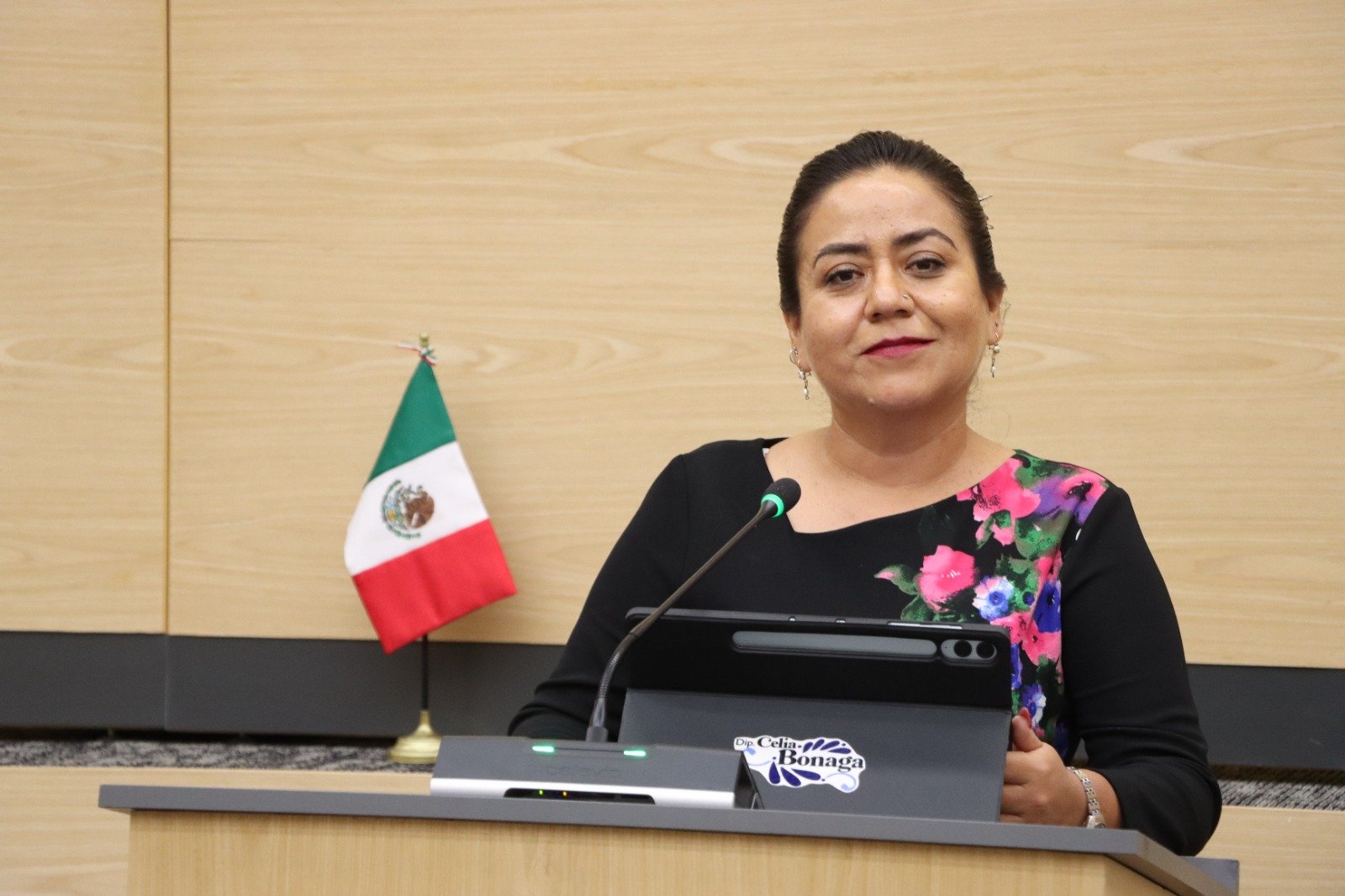 Diputada Celia Bonaga impulsa iniciativa para promover e implementar programas de captación de agua pluvial
