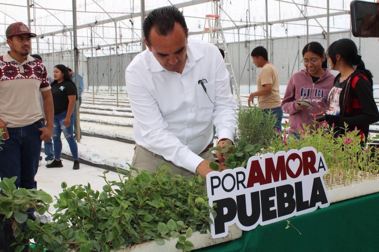 UTIM rehabilita invernadero para fortalecer formación agrícola