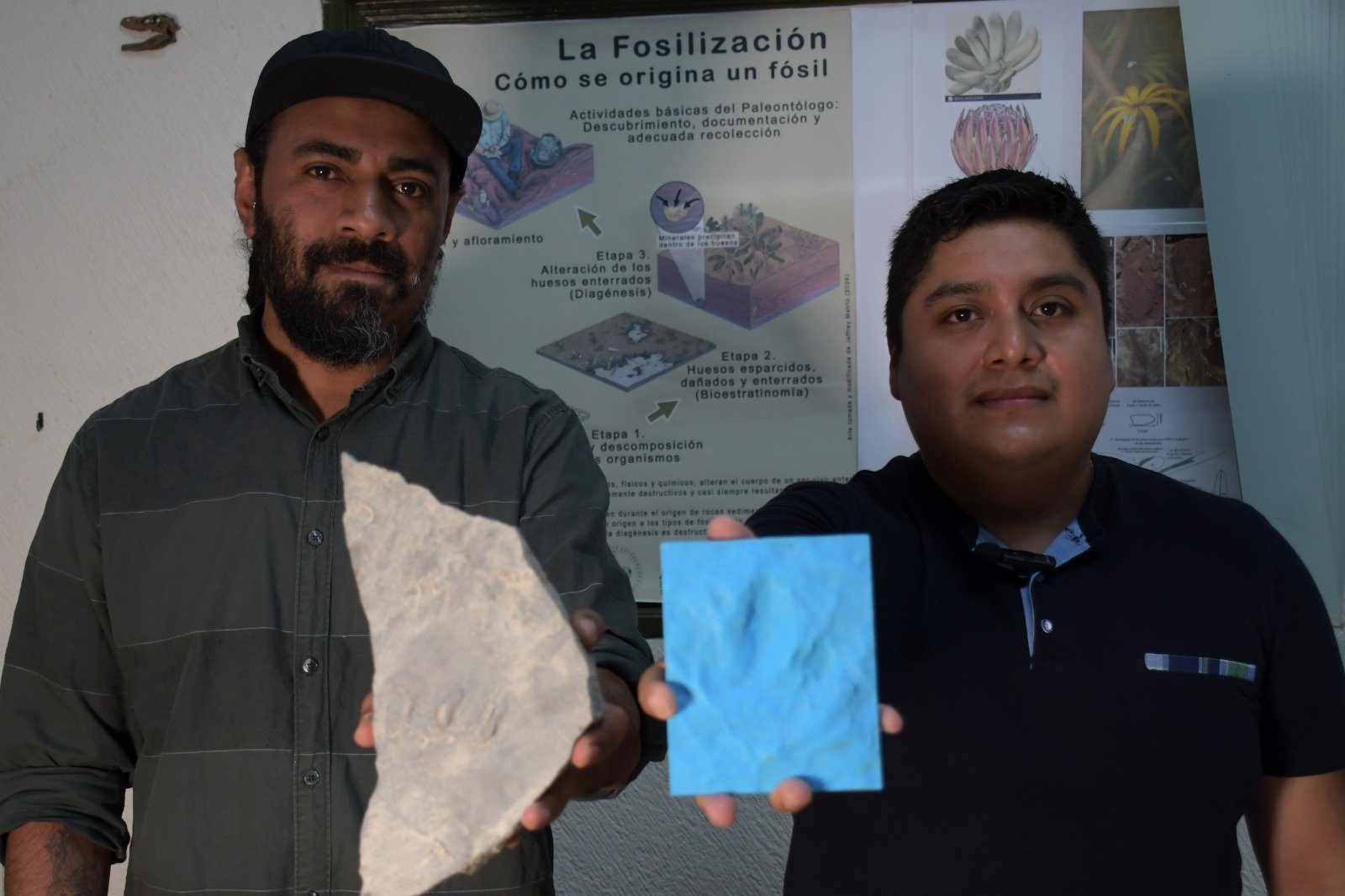 Investigadores BUAP descubren nuevas huellas de dinosaurio al sur de Puebla