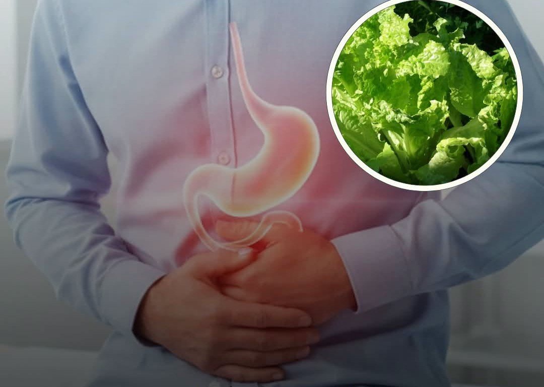 Descartan que productos mexicanos causaran brotes de Salmonella y Cyclospora en EU