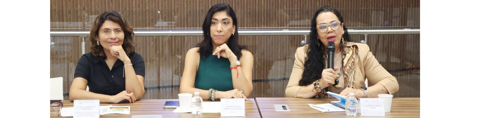 Convoca diputada Norma Pimentel a participar en el Foro sobre el Derecho Integral al Cuidado