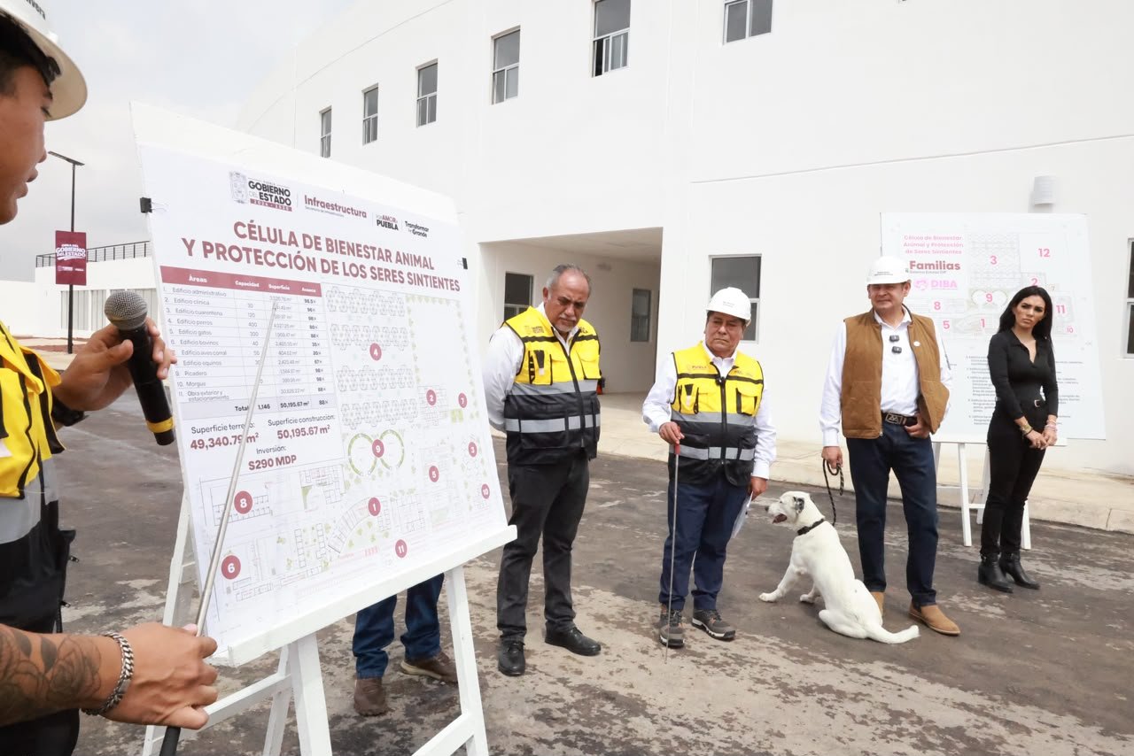GOBIERNO ESTATAL ALCANZA 88 POR CIENTO DE AVANCE EN CÉLULA DE BIENESTAR ANIMAL