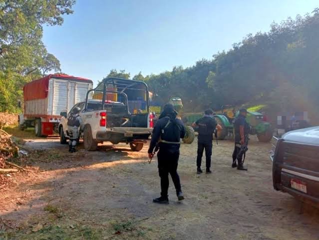 Asesinan a tres empacadores de aguacate en Michoacán